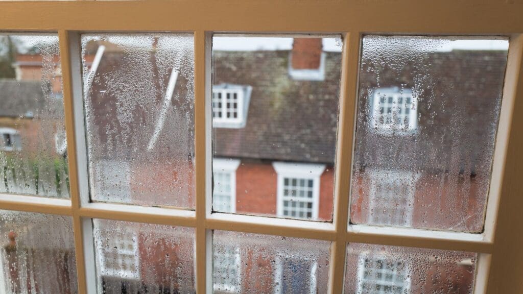 Types of Window Condensation