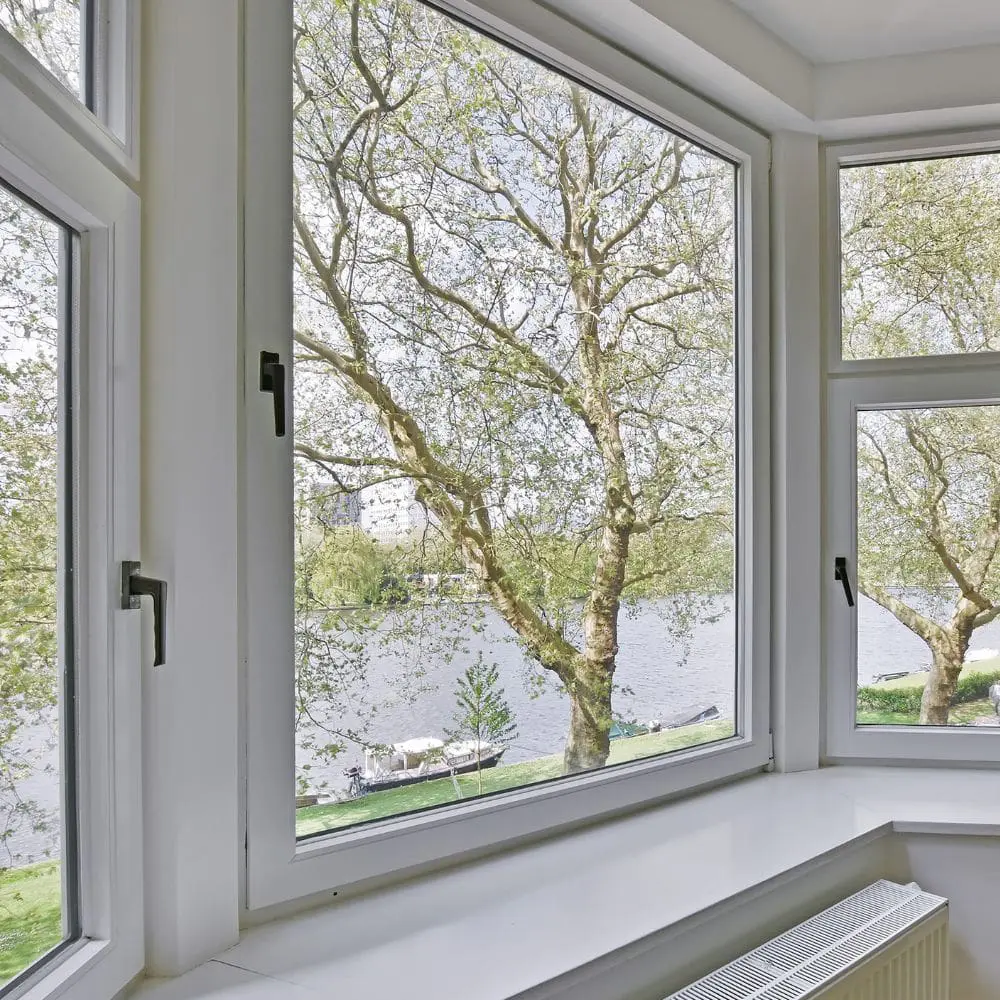 White Replacement Window With Outdoor Tree View